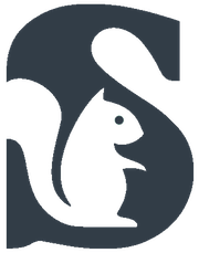 Silverile.AI